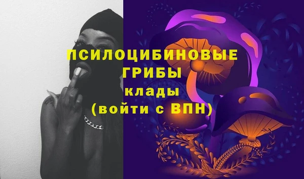 дурь Пенза