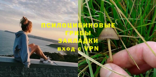 гашик Архангельск