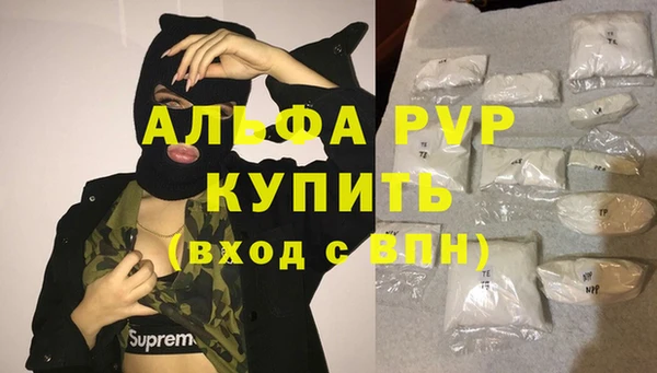 гашик Архангельск