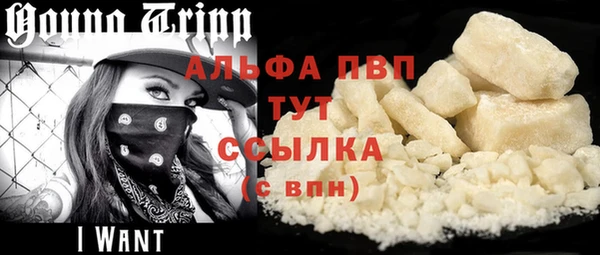 гашик Архангельск
