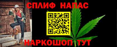 шишки Абакан