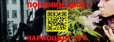 шишки Абакан