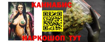 шишки Абакан