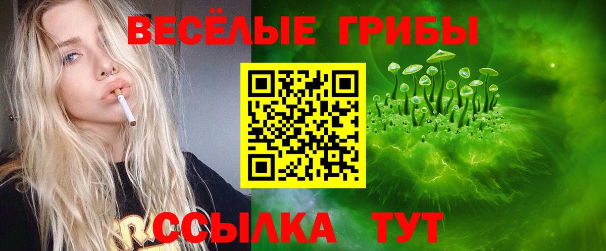 Псилоцибиновые грибы Psilocybine cubensis Балабаново