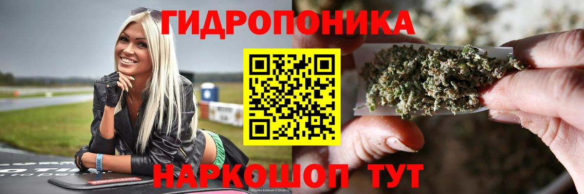 Бошки марихуана планчик  Марихуана White Widow  Балабаново  Каннабис VHQ 
